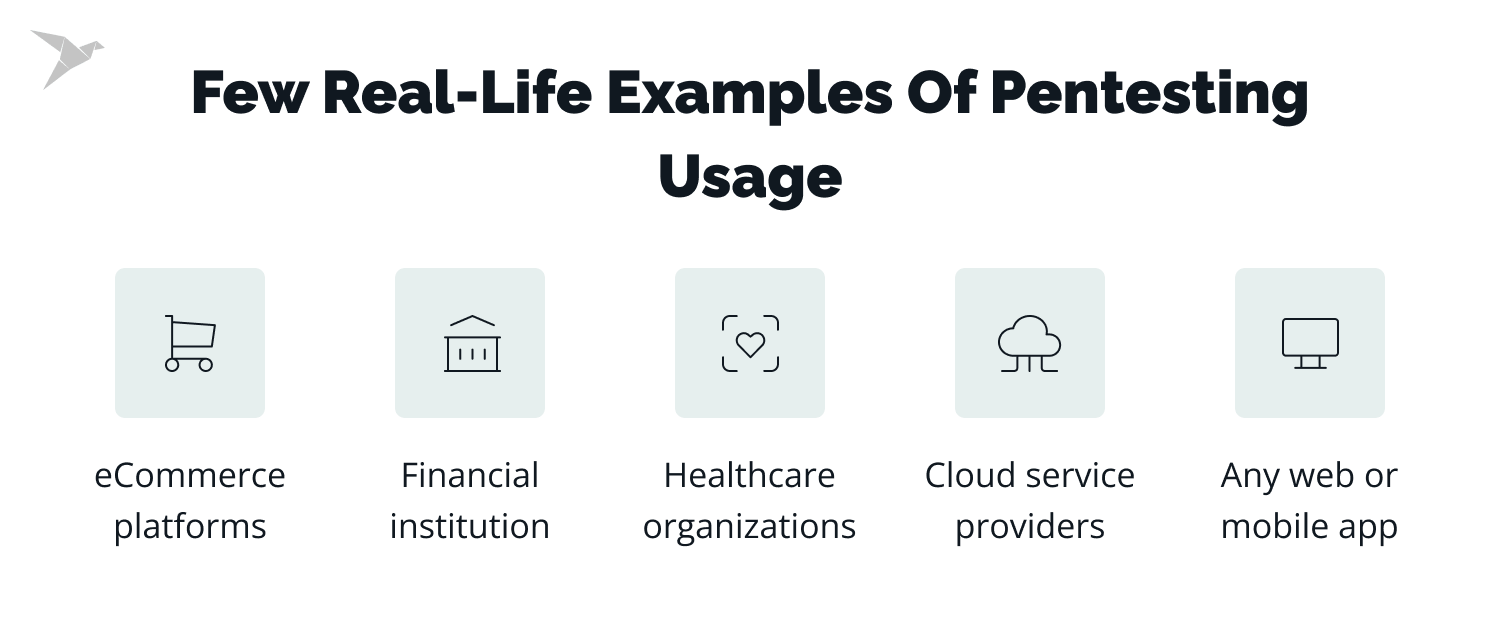 examples of pentesting usage